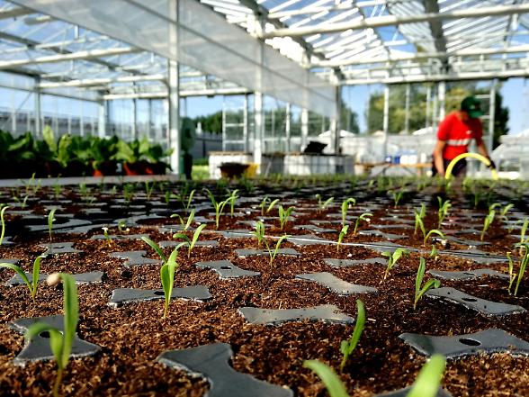 Fertilizzanti sotto pressione: &laquo;Gli extra-costi su frutta e verdura? Per evitarli rischiamo di importare&raquo;