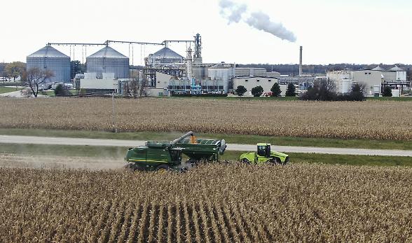 La guerra del mais tra Ue e Cina fa crollare i prezzi. Ma non sugli scaffali della grande distribuzione