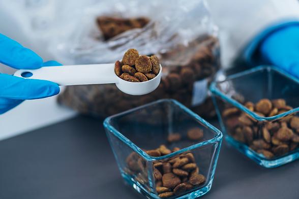 Nel mercato anticiclico del cibo per animali Life Pet Care tocca quota 41 milioni di ricavi