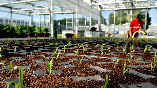 Fertilizzanti sotto pressione: &laquo;Gli extra-costi su frutta e verdura? Per evitarli rischiamo di importare&raquo;