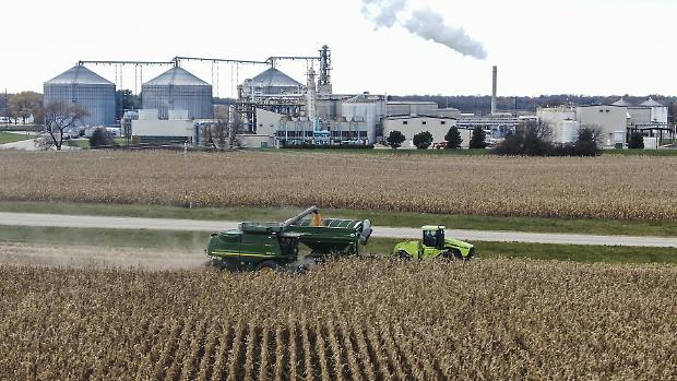 La guerra del mais tra Ue e Cina fa crollare i prezzi. Ma non sugli scaffali della grande distribuzione