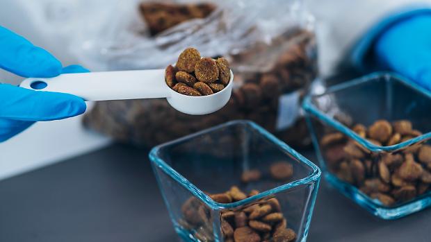 Nel mercato anticiclico del cibo per animali Life Pet Care tocca quota 41 milioni di ricavi