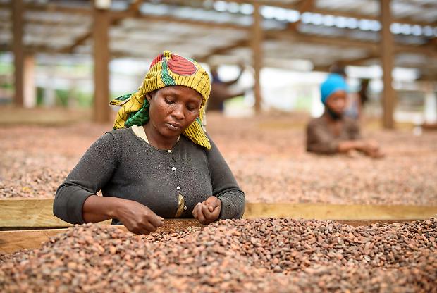 Da Lecco a Kampala, il cioccolato di Icam punta sulla filiera integrata