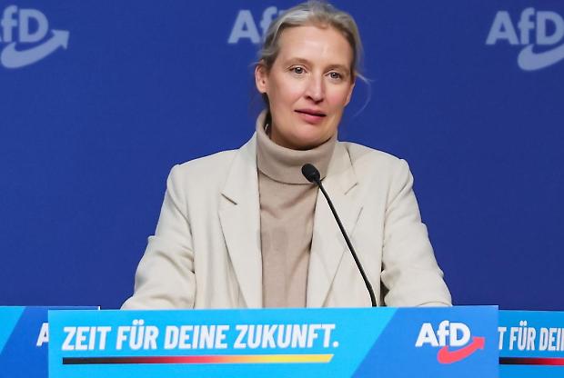 Afd guadagna la scena a Monaco ma scivola su parentopoli nella ricerca di normalit&agrave;