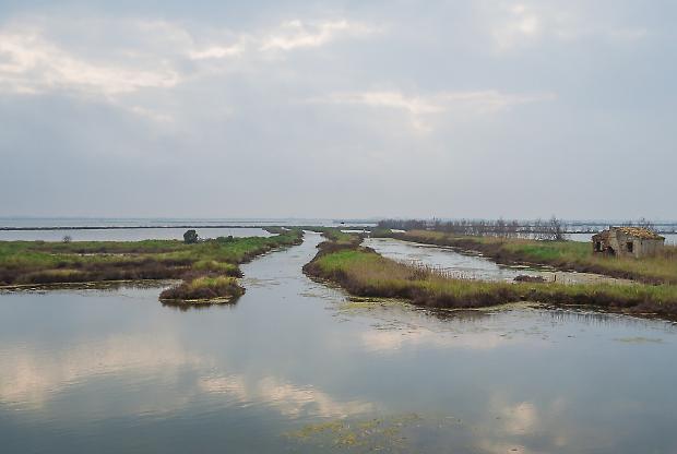Il Delta del Po sotto assedio: quando il mare divora la costa